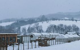 Glamping Spiritul Zimbrului